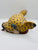 Busto de Ocelotl codice