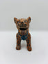 Jaguar Zapoteca parado con collar color naranja