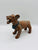 Jaguar Zapoteca parado con collar color naranja