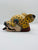 Busto de Ocelotl codice