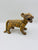 Jaguar Zapoteca parado amarillo viendo lado derecho