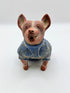Tlalchichi de frente chico con sueter azul