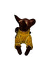 Xolo mini viendo lado izquierdo echado con sueter amarillo