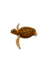 Tortuga alebrije chica