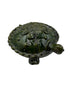 Tortuga vidreada