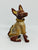 Xolo mini sentado sueter naranja viendo lado derecho