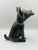 Xolo negro con mazorca