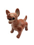 Xoloitzcuintle parado mediano