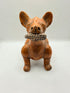 Xoloitzcuintle con mazorca mediano