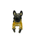 Xolo mini echado negro sueter color amarillo mirada arriba