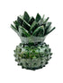 Piña vidreada verde